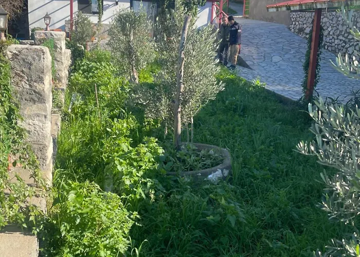 Söğüt Taşlıca Osman Tatil Evi