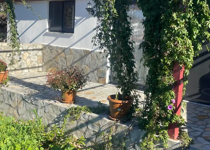 Tatil Evi Söğüt Taşlıca Osman