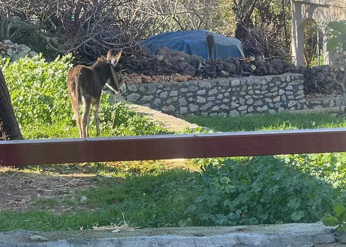 Tatil Evi Söğüt Taşlıca Osman *
