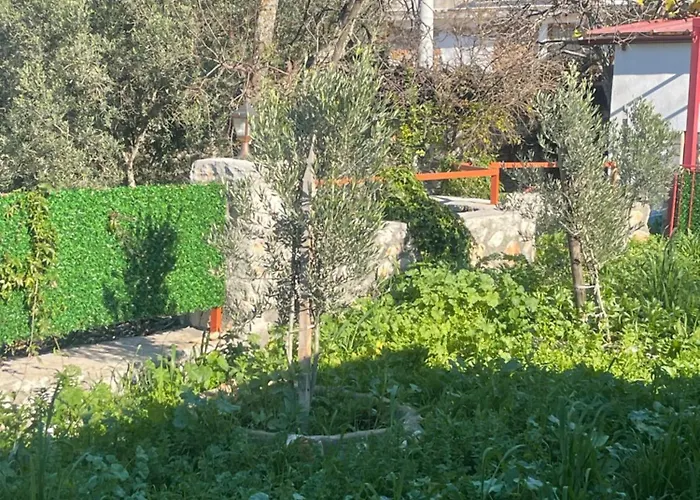 Söğüt Taşlıca Osman Tatil Evi Taslica