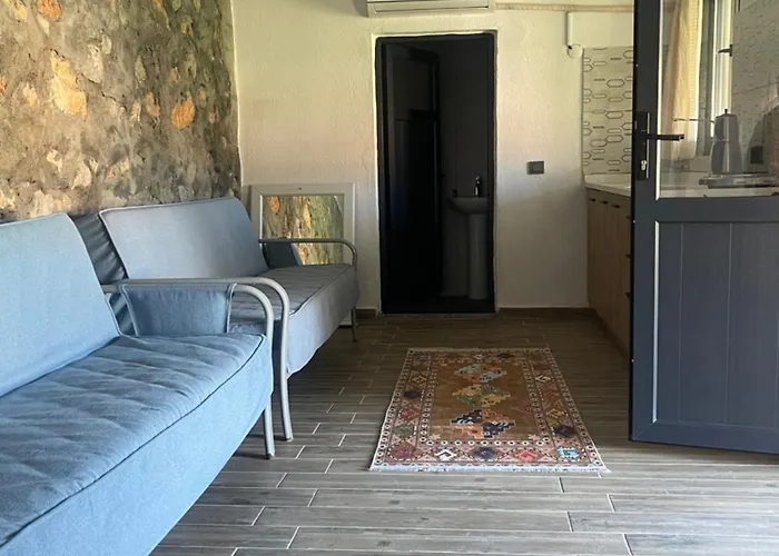 Söğüt Taşlıca Osman Tatil Evi *