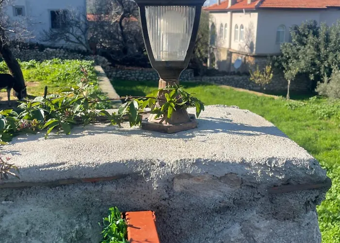 Tatil Evi Söğüt Taşlıca Osman *