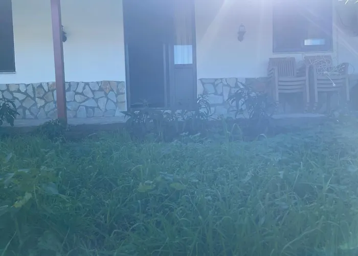 Söğüt Taşlıca Osman * Taslica