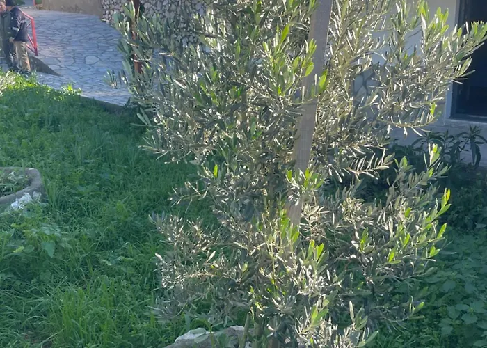 Söğüt Taşlıca Osman Tatil Evi *